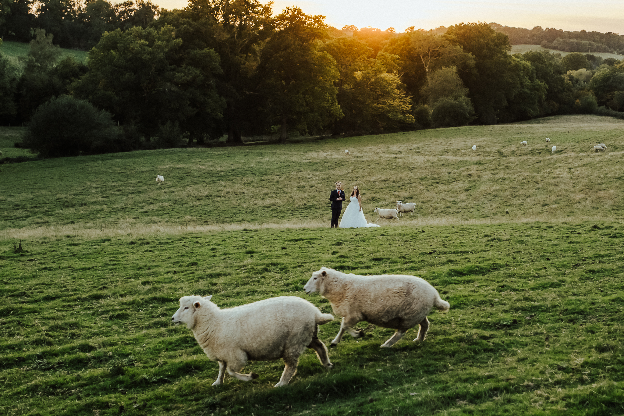 The Oak Barn Wedding Photography